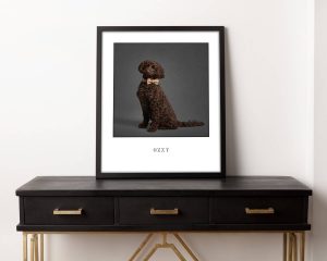 Framed photo of brown cockerpoo on sideboard Life in Focus Portraits dog photographer Cardross